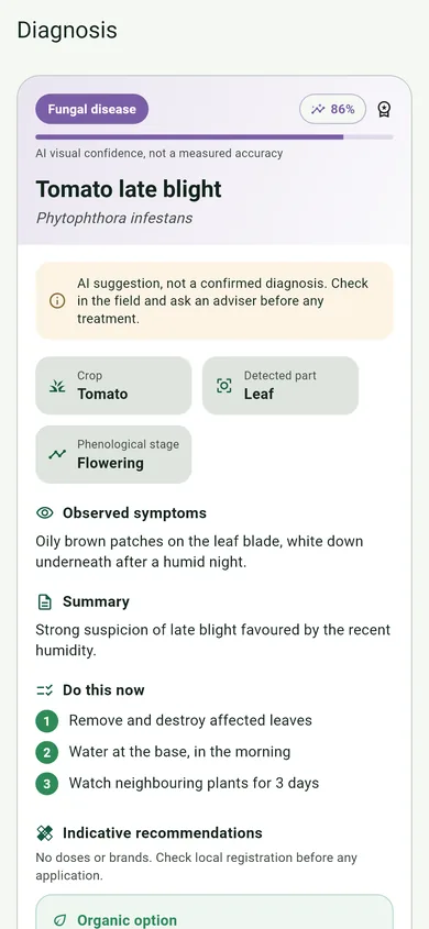Diagnosis report