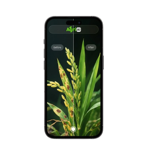 AgrIAI phone mockup